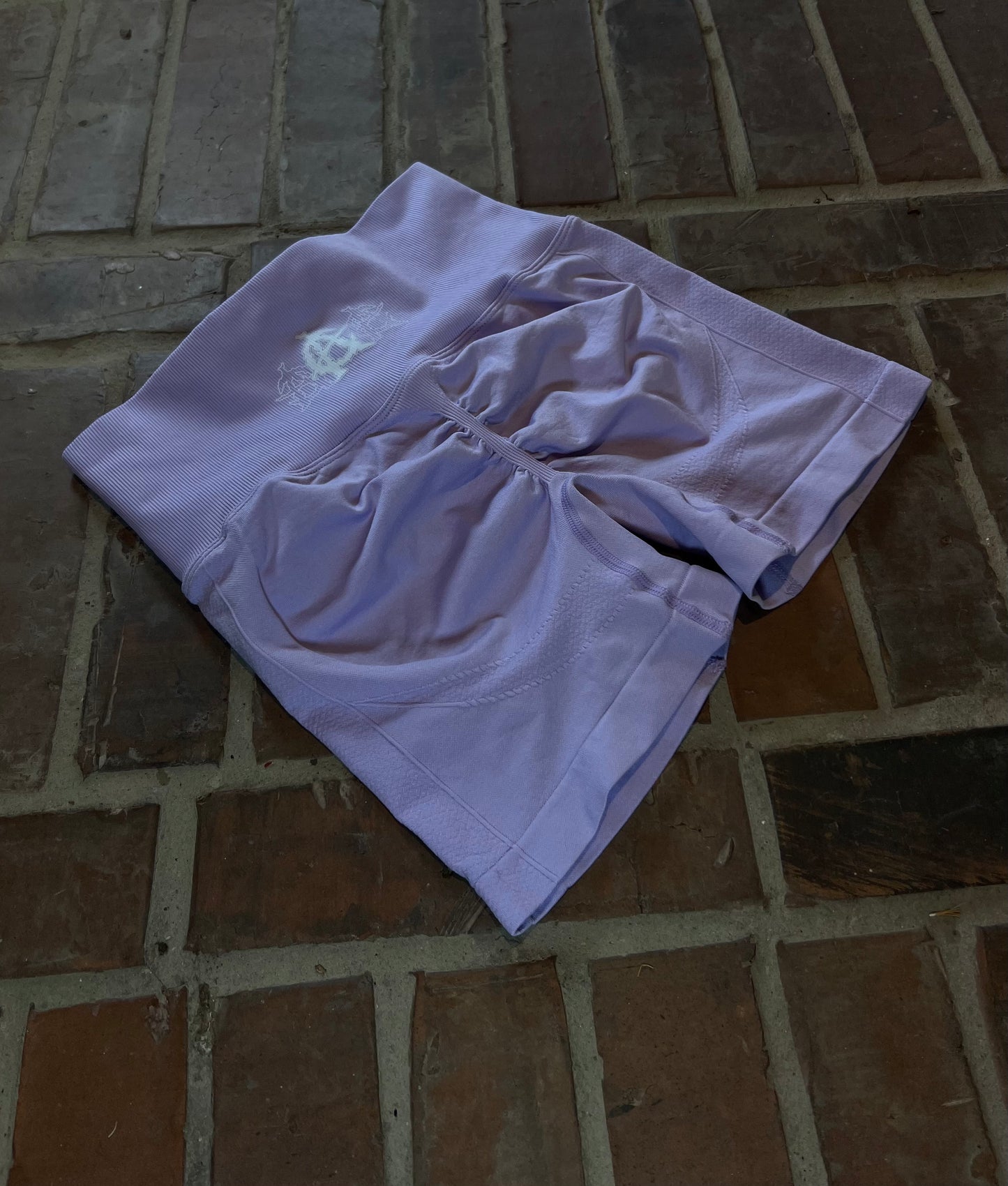 Absolute Anarchy Women’s gym shorts (Lavender)