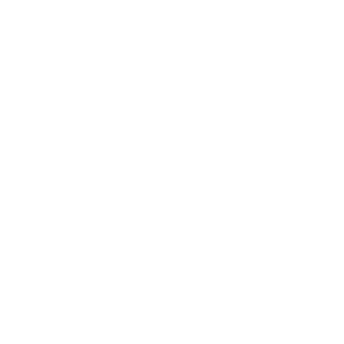 Absolute Anarchy Apparel