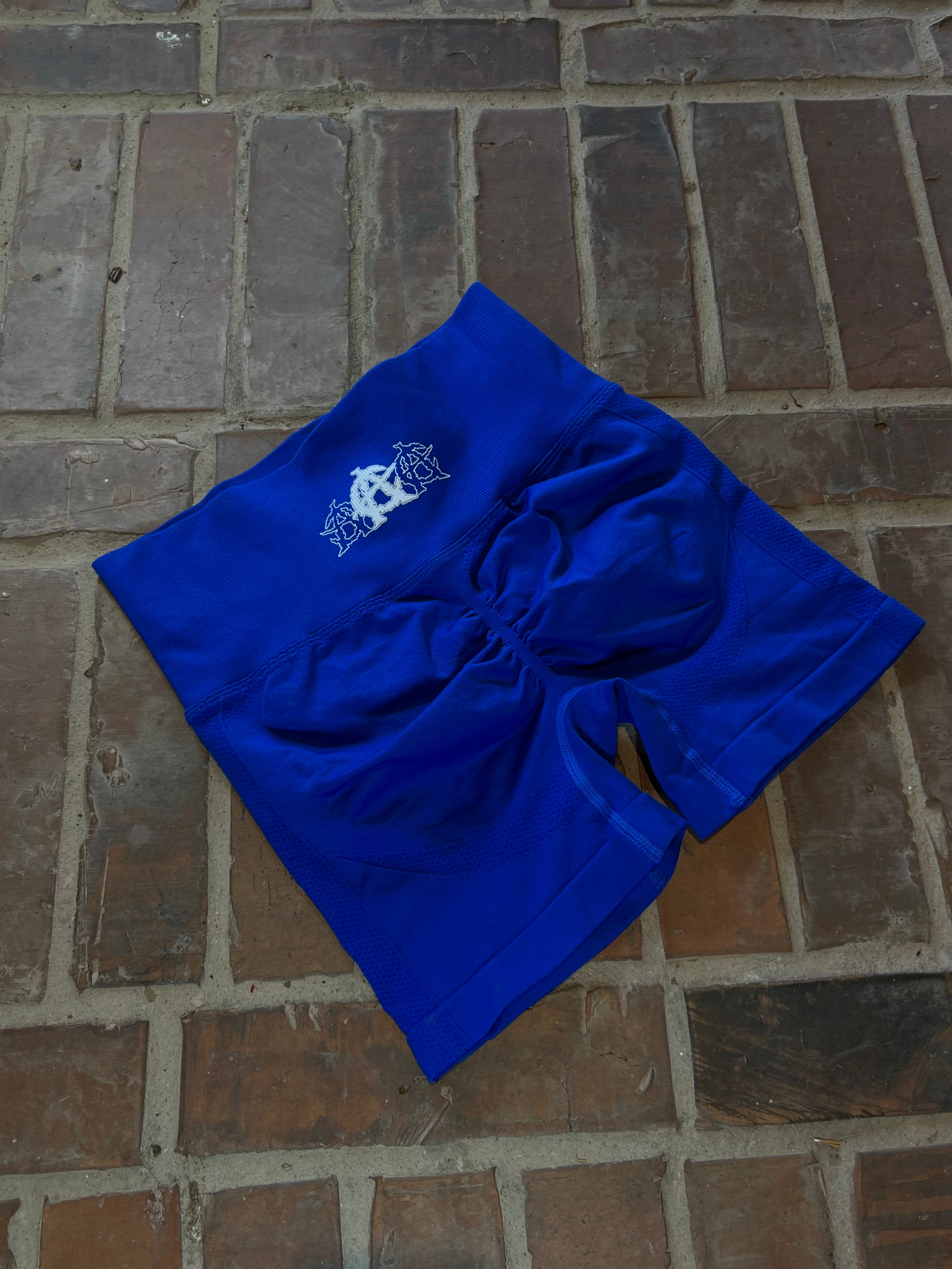 Absolute Anarchy Women’s gym shorts (Royal Blue)