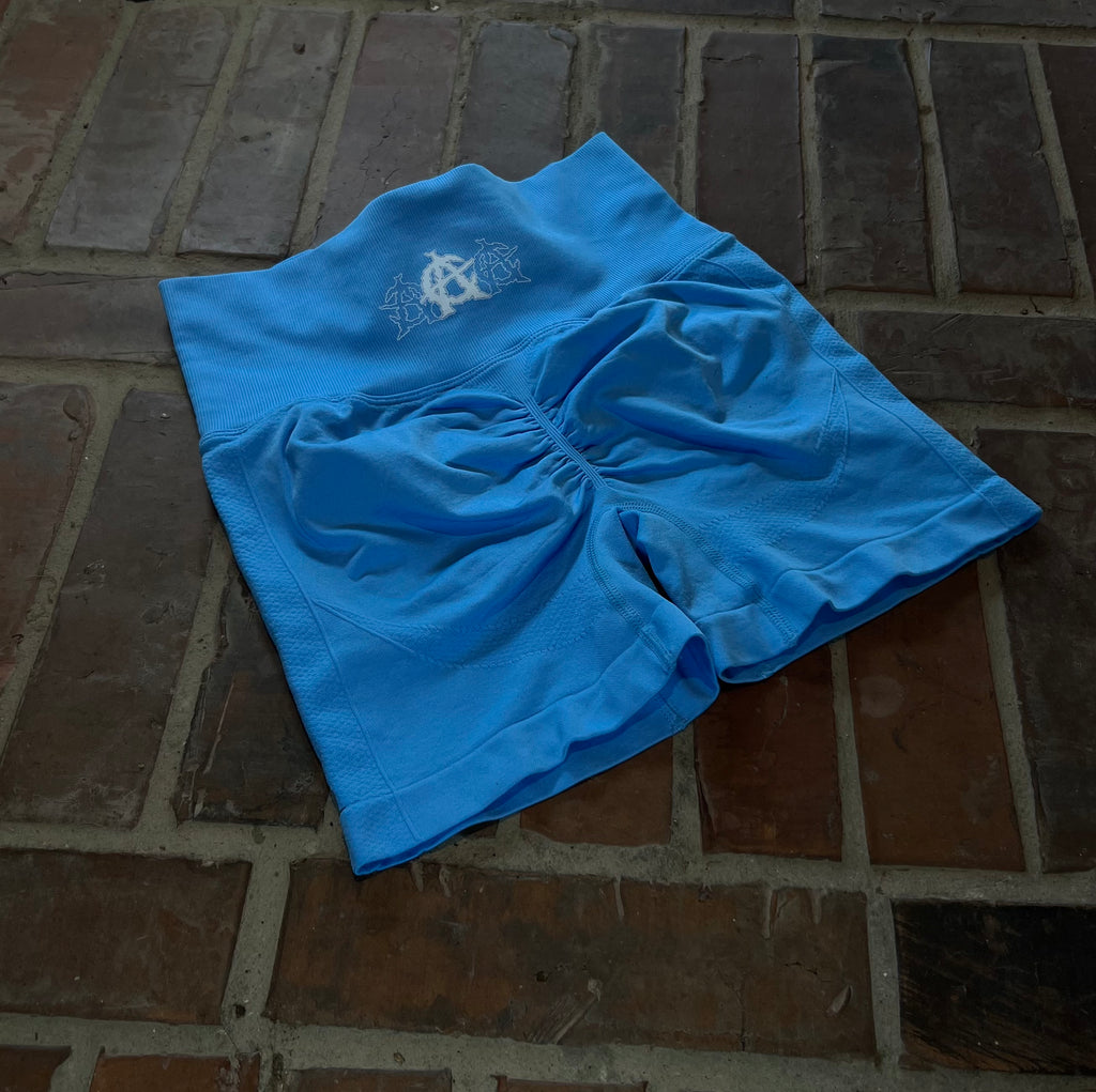 Absolute Anarchy Women’s gym shorts (Miami Blue)